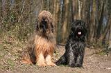 BRIARD 013